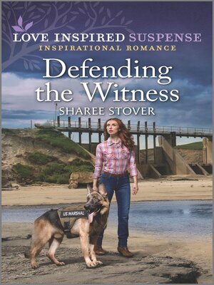 cover image of Defending the Witness
